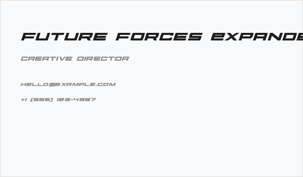 Future Forces Expanded Italic Business Card