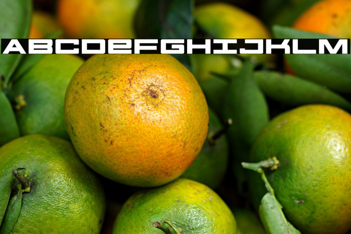 Future Forces Expanded Example 1