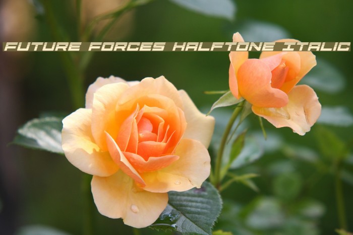 Future Forces Halftone Italic Example 1