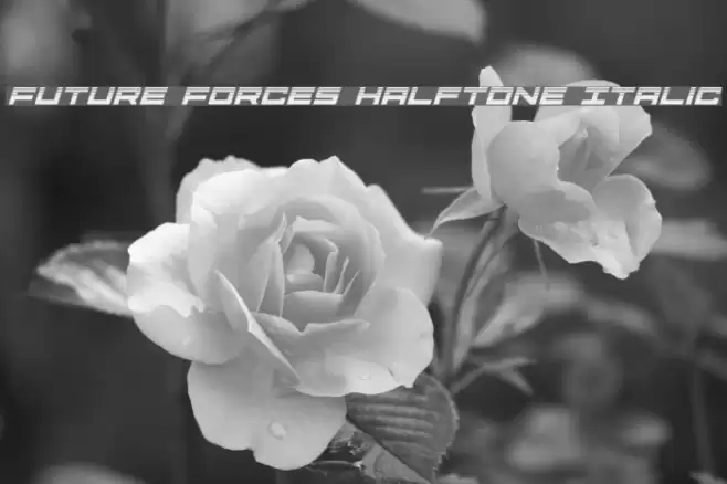 Future Forces Halftone Italic Font examples