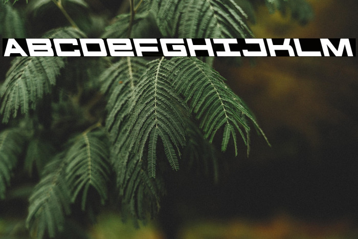 Future Forces Leftalic Example 1