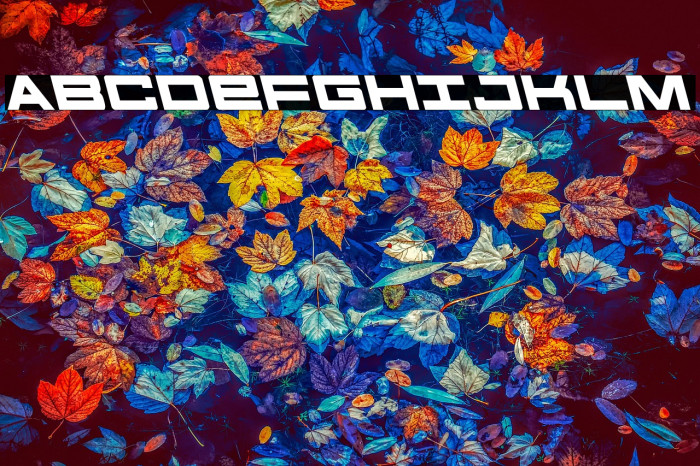 Future Forces Leftalic Example 2