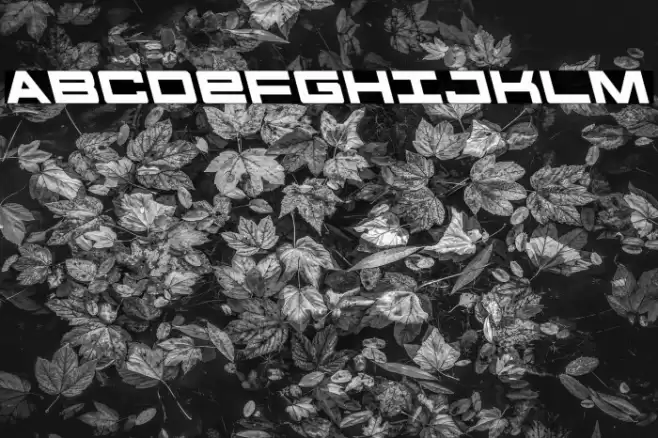 Future Forces Leftalic Font examples