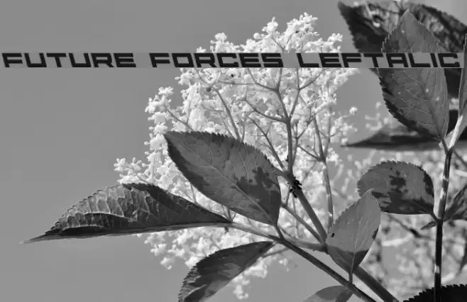 Future Forces Leftalic Font examples