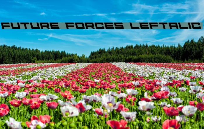 Future Forces Leftalic examples