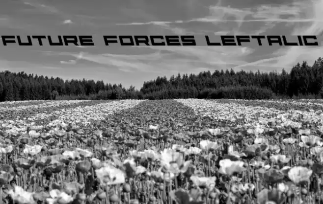 Future Forces Leftalic Font examples