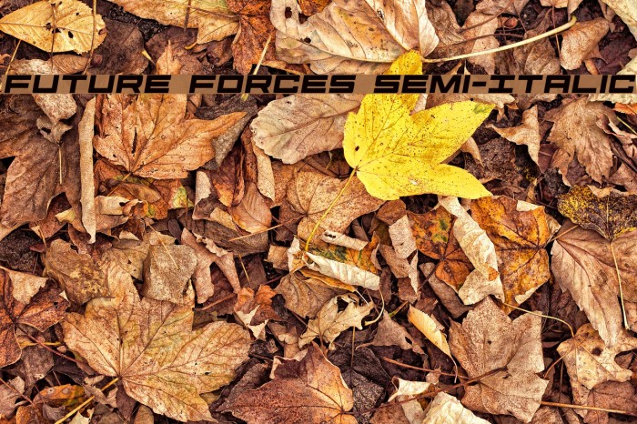 Future Forces Semi-Italic Font examples