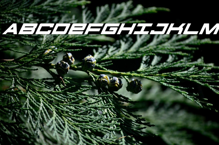 Future Forces Super-Italic Example 2