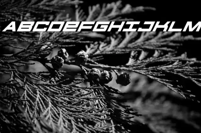 Future Forces Super-Italic Font examples