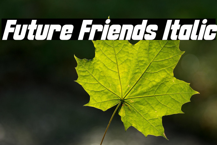 Future Friends Italic Example 1