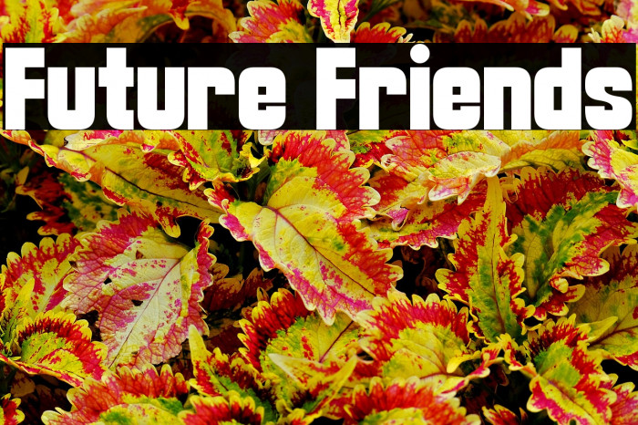Future Friends Example 3