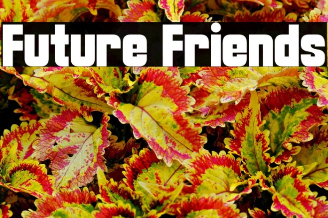 Future Friends Example 3