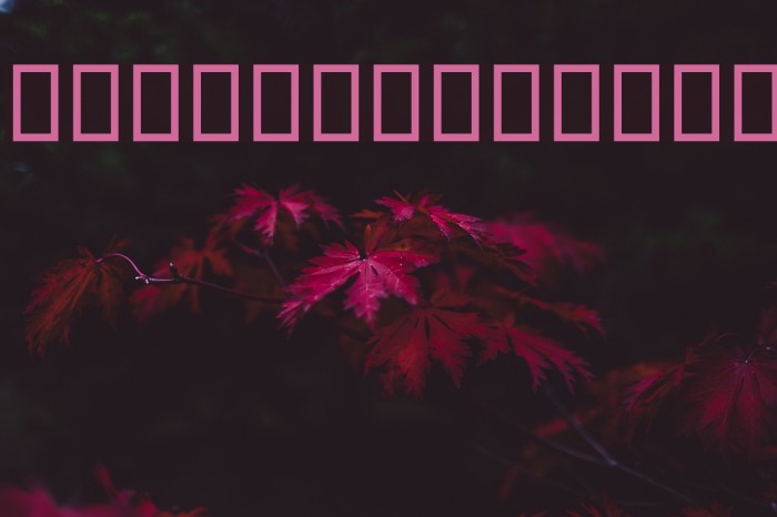 Future I Font examples