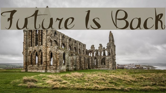 Future Is Back Font examples