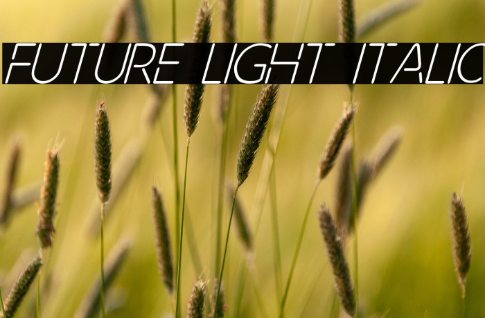 Future Light Italic Example 1
