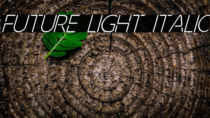 Future Light Italic Example 2