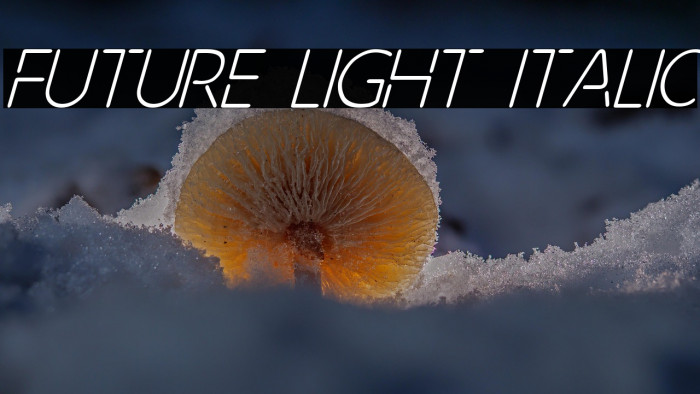 Future Light Italic Example 3