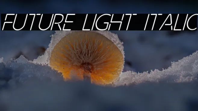Future Light Italic Example 3