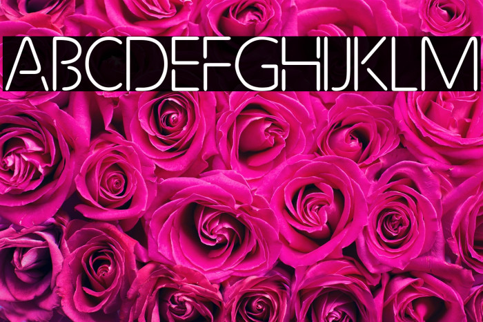 Future Light Example 1