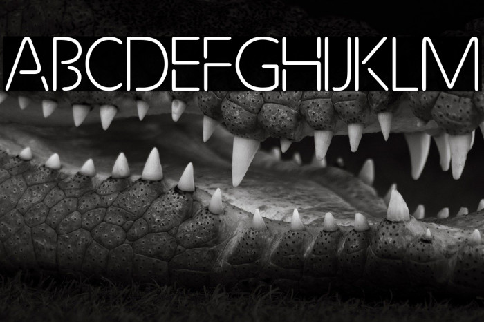 Future Light Example 3