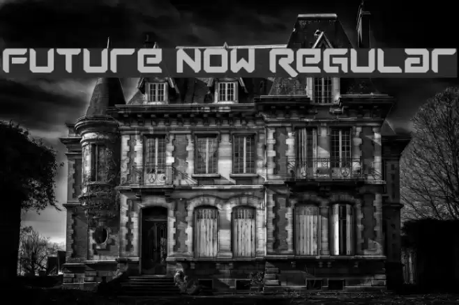 Future Now Regular Font examples