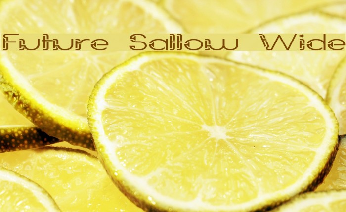 Future Sallow Wide Font examples