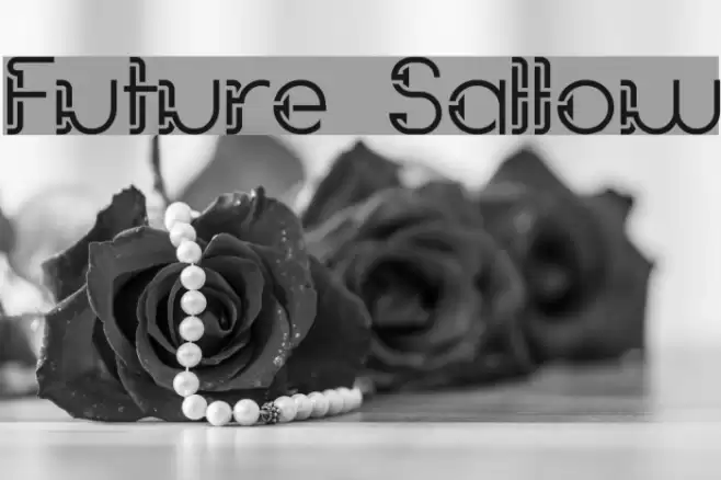 Future Sallow Font examples