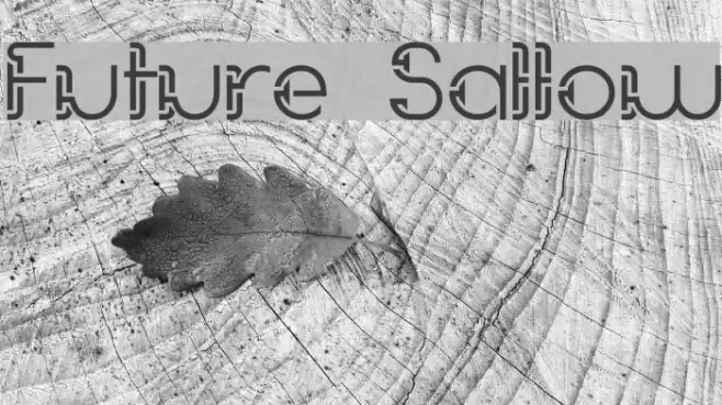 Future Sallow Font examples