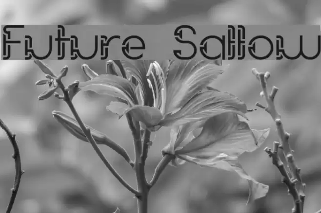 Future Sallow Font examples