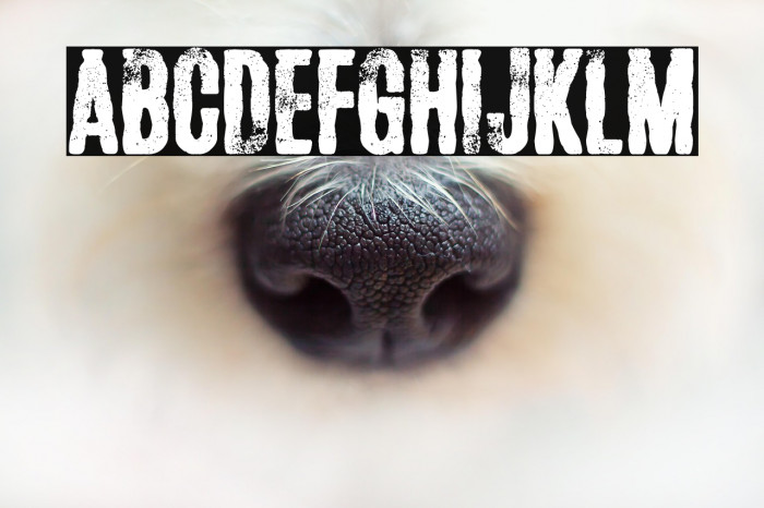 Future Shit Example 2