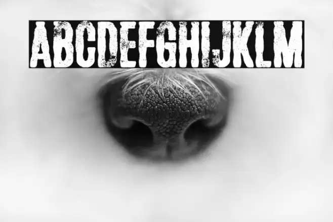 Future Shit Font examples