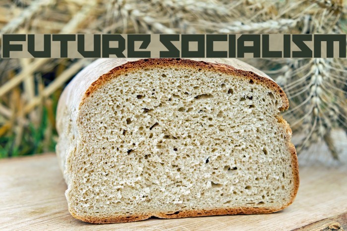 Future Socialism Example 1