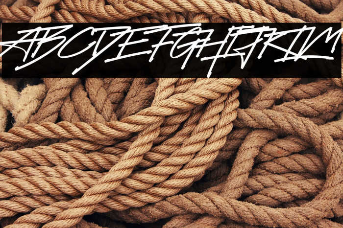 Future Surfing (Personal Use) Example 1