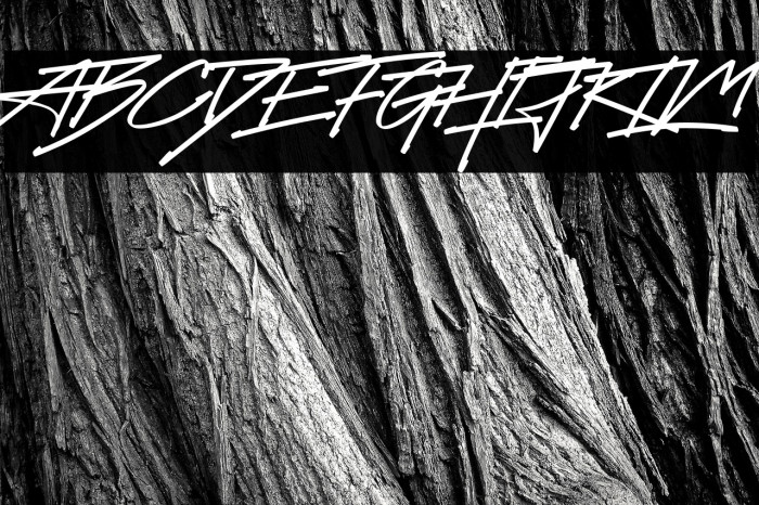 Future Surfing (Personal Use) Example 2