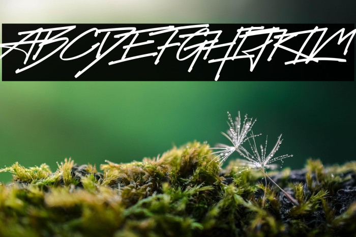 Future Surfing (Personal Use) Example 3