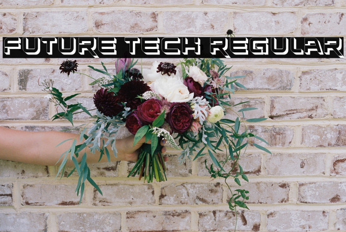 Future Tech Regular Example 2