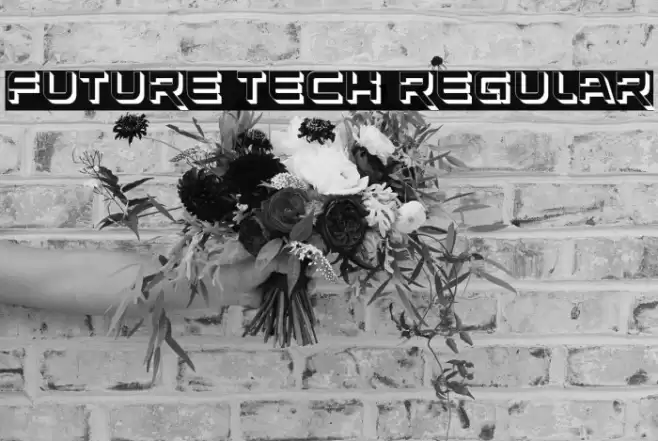 Future Tech Regular Font examples