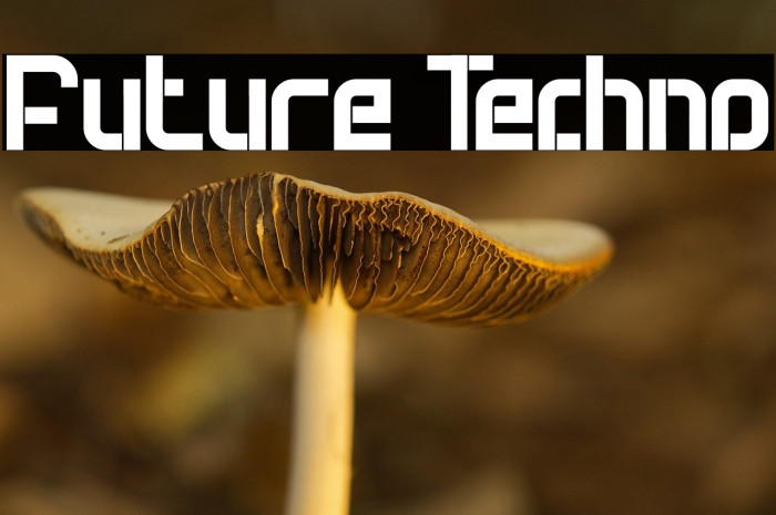 Future Techno Example 2