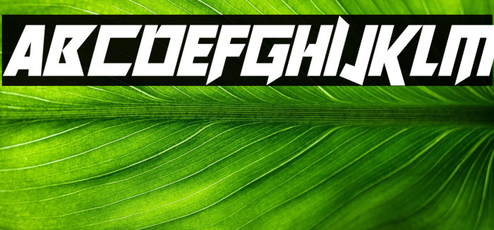 Future Worlds Italic Example 1