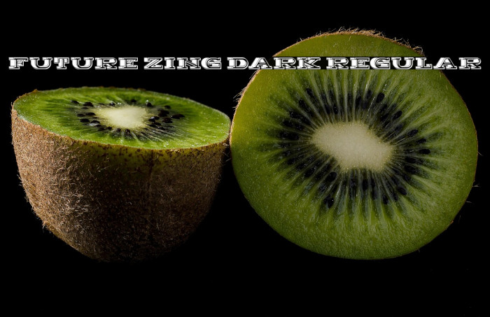 Future Zing Dark Regular Example 1