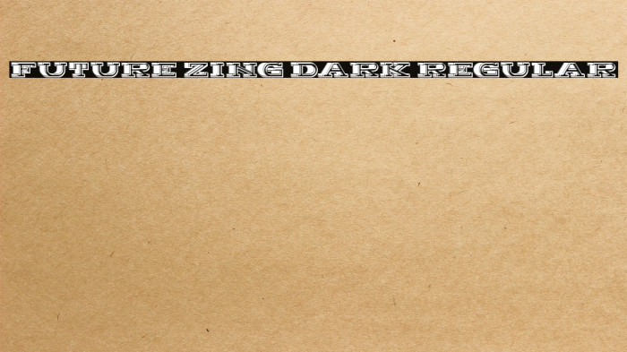 Future Zing Dark Regular Example 2