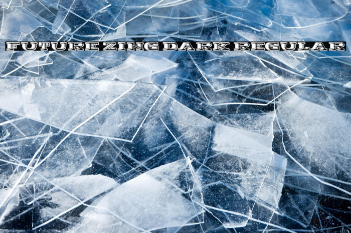 Future Zing Dark Regular Example 3