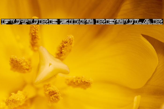 Future Zing Regular Example 2