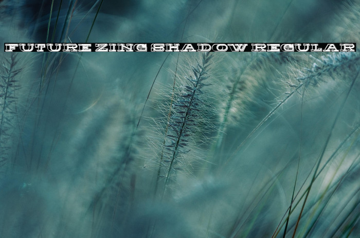 Future Zing Shadow Regular Example 1