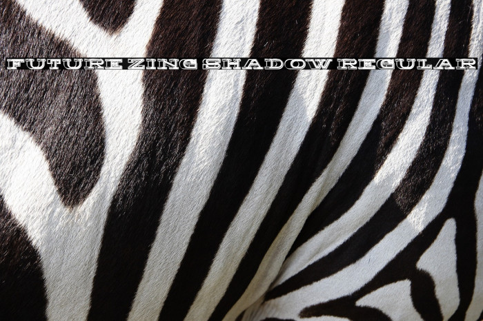 Future Zing Shadow Regular Example 2