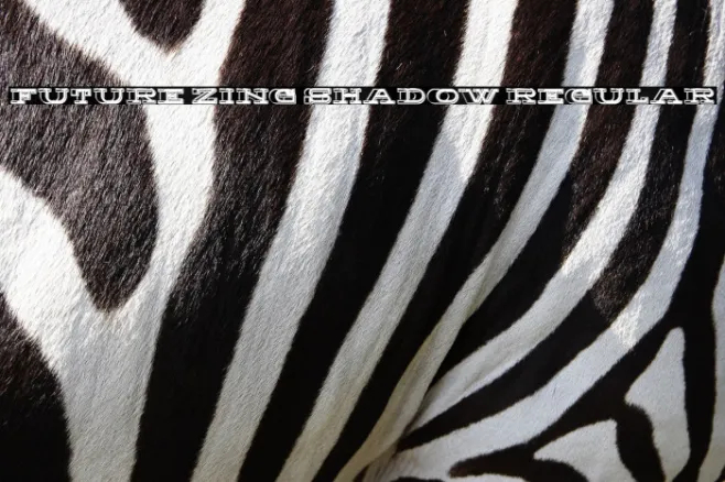 Future Zing Shadow Regular Example 2