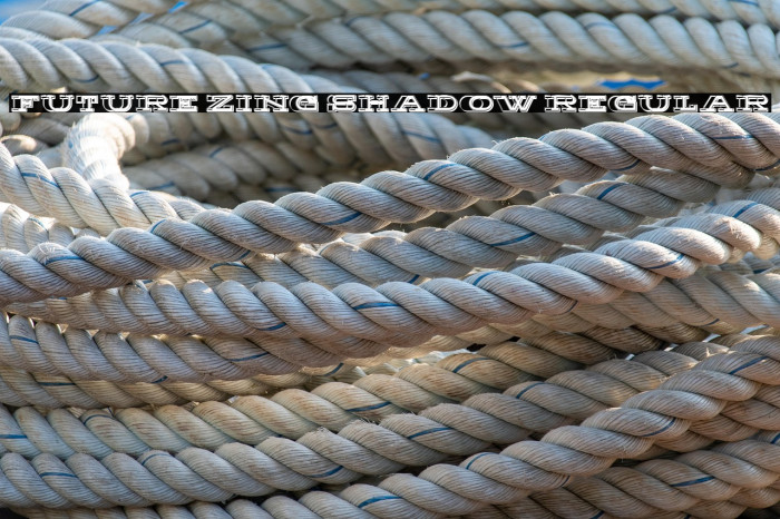 Future Zing Shadow Regular Example 3