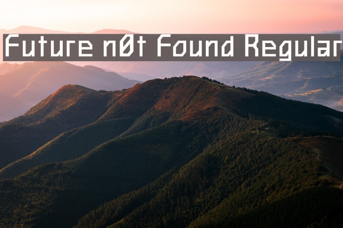 Future n0t Found Regular Example 2