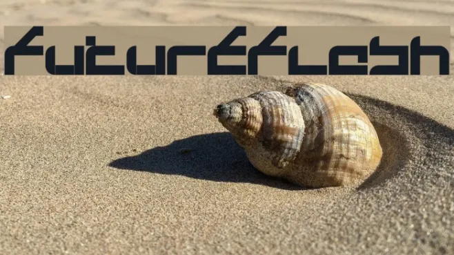 FutureFlash Example 2