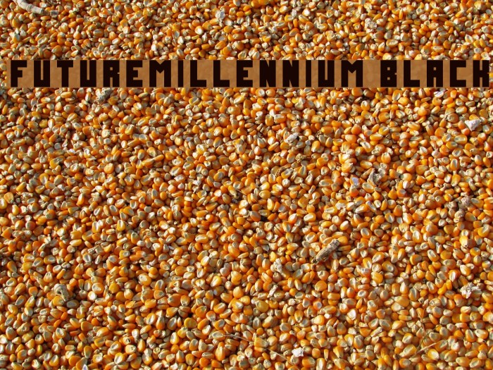 FutureMillennium Black Font examples